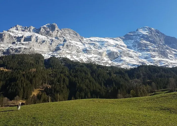 Alojamento de Turismo Rural Bei Der Arve *